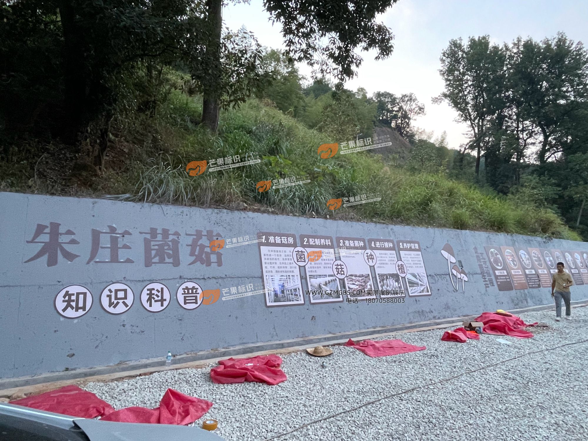 食用菌食用蘑菇科普文化墙施工现场05.jpg